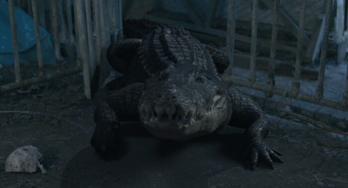 The croc from Croc! hunts humans at night