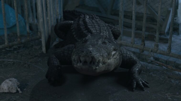 The croc from Croc! hunts humans at night