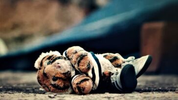 a plush toy tiger lays on its side, lost on a concrete roof in Mexico