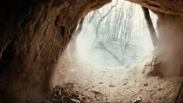 A forest, seen through the opening of a cave from RAZZENNEST