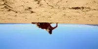 An upside down shot of a bloodied person getting up from the arid desert ground in a cloudless sky