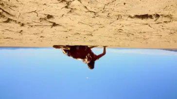An upside down shot of a bloodied person getting up from the arid desert ground in a cloudless sky