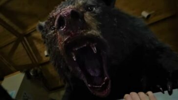 A black bear, its mouth wide as it roars, blood and gore dripping from its snout in the comedy Cocaine Bear.