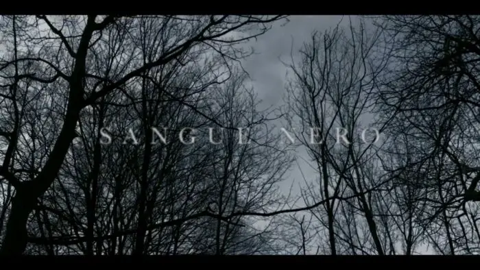 Title card for Sangue Nero, faded white text spells "Sangue Nero" overlayed on a still image of bare wooded trees