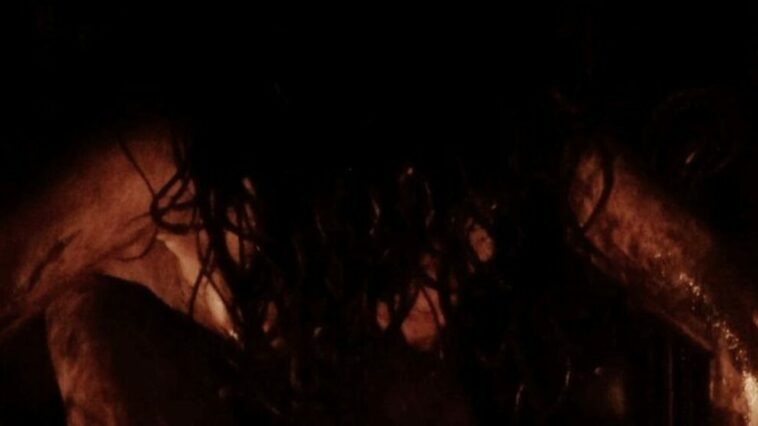 A figure with long dark hair crawling in Black Lake Director's Cut
