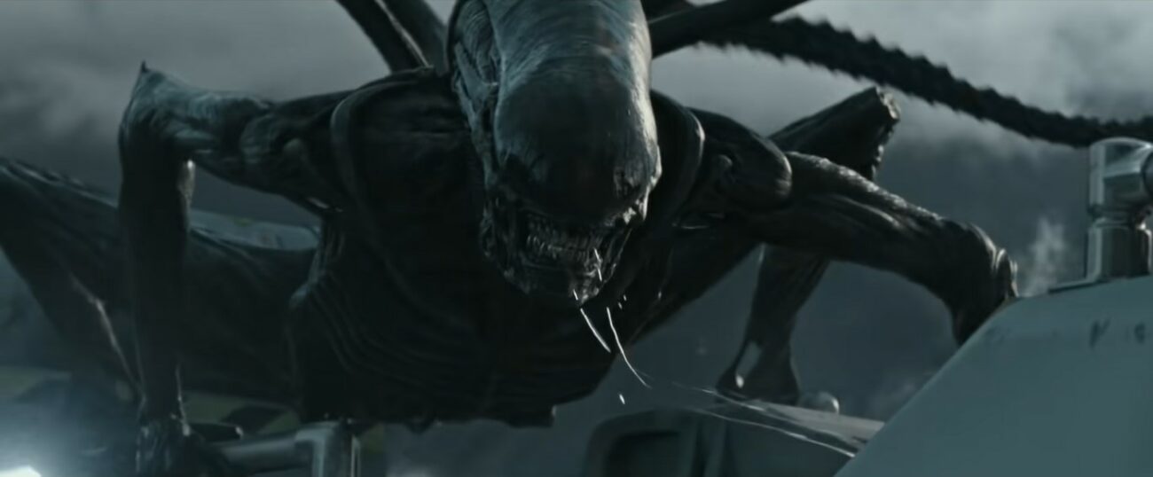 New Alien Movie Dated for 2024! - Horror Obsessive