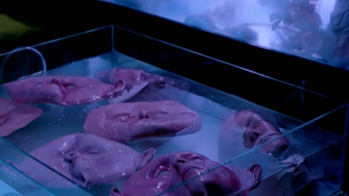 A fish tank is full of latex faces