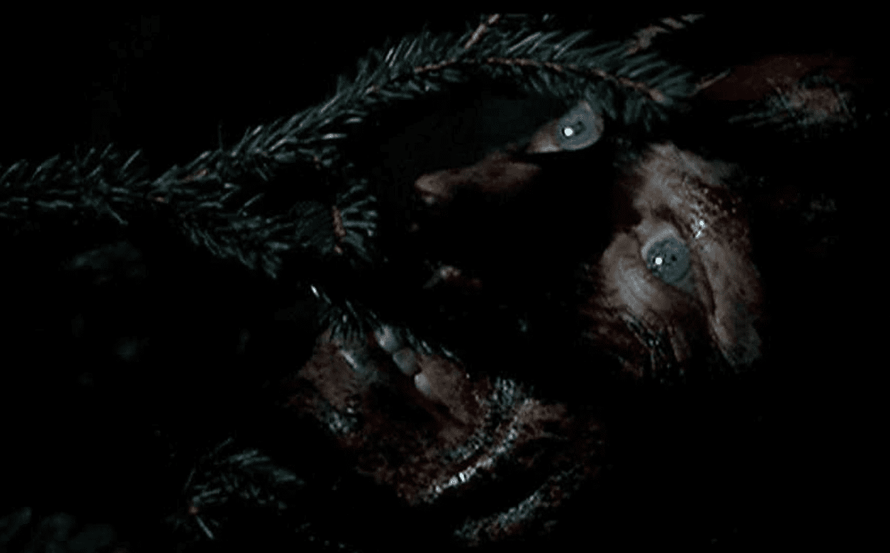 A person's face partially obscured by pine branches in dim lighting. They appear to have injuries on their face, with visible blood. Their eyes are wide open, conveying a sense of fear or shock. The setting suggests a tense or dramatic scene, possibly from a thriller or horror genre.