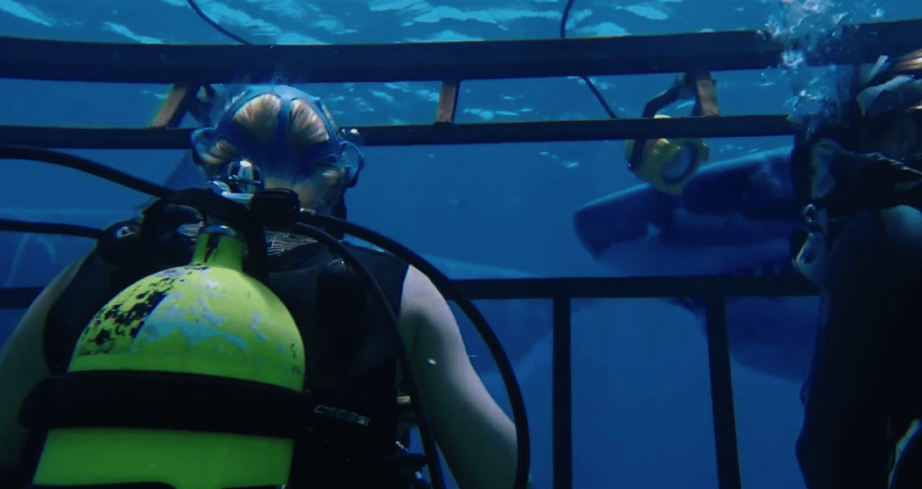 Two scuba divers are inside a shark cage, submerged underwater. The divers' backs are to the camera, with one wearing a yellow oxygen tank. A great white shark is visible in the background, swimming toward the cage with its mouth slightly open, creating a tense and suspenseful atmosphere.
