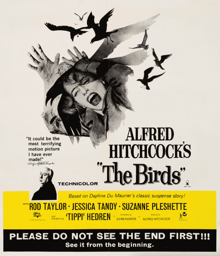 A terrified woman screaming as a flock of aggressive birds swoop down on her, attacking her with beaks and claws, from the film "The Birds."